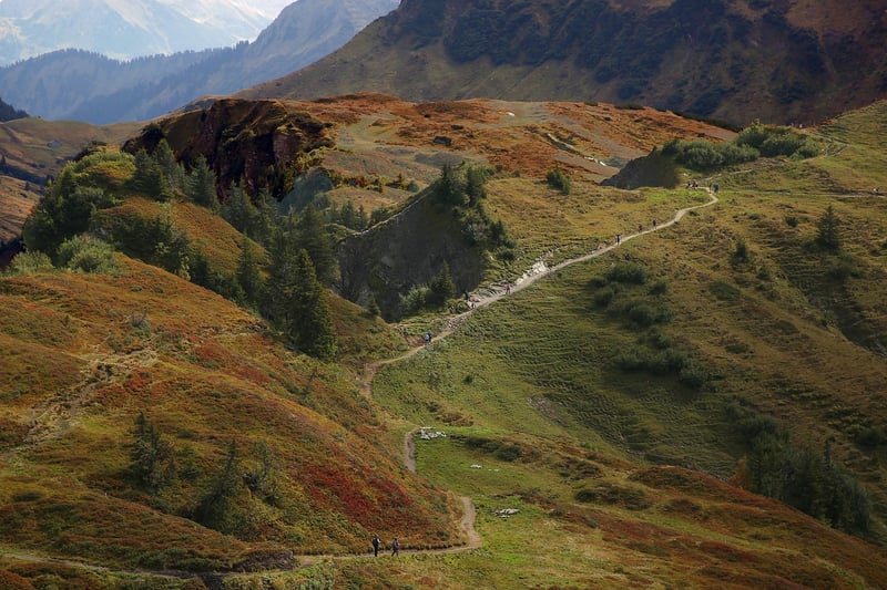 Eco-Tours