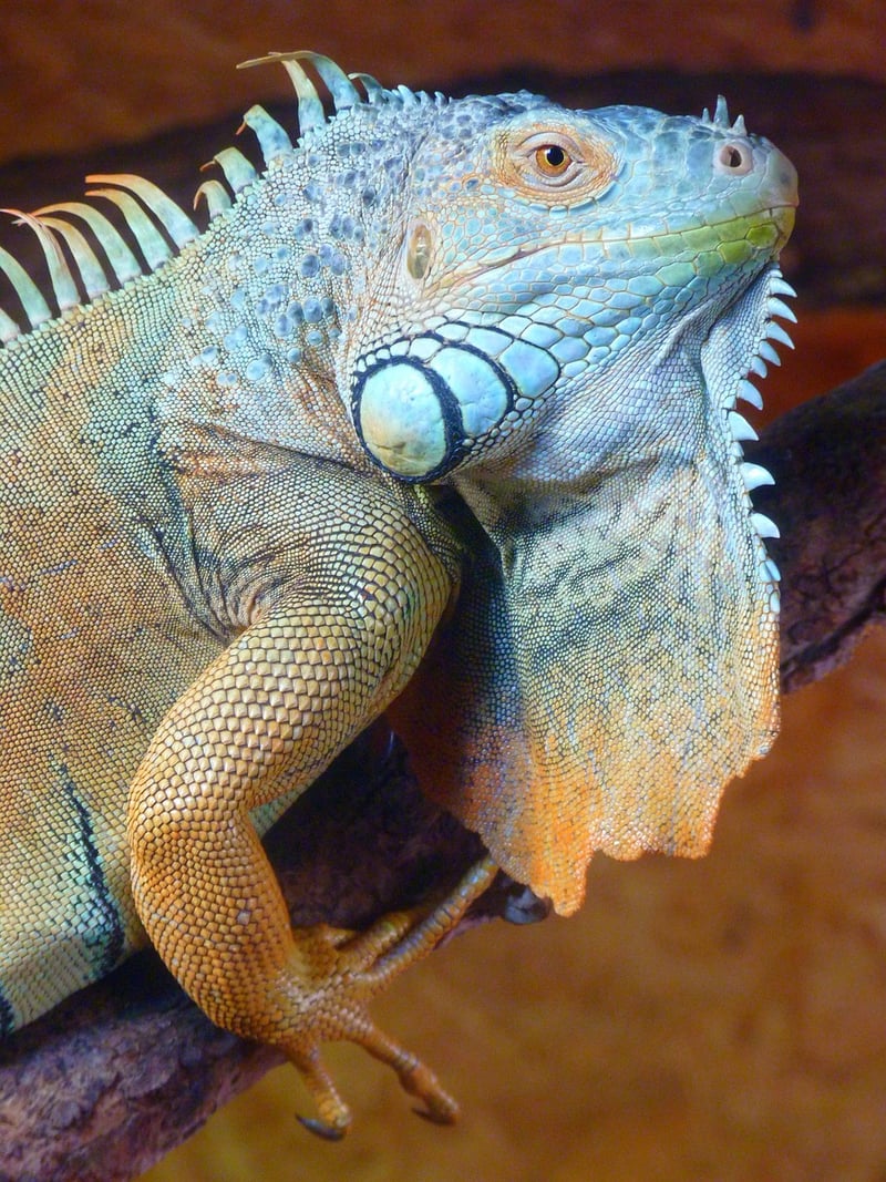 Galapagos Islands Eco-Tour